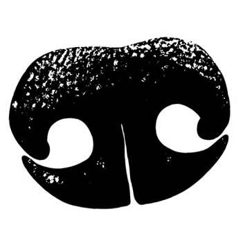 How Can I Get My Dogs Nose Printed